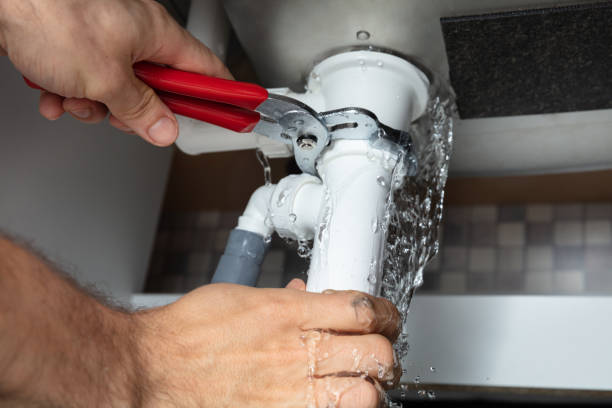 Best Flooded house restoration  in Austin, MN