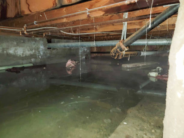 Best Fire Damage Restoration  in Austin, MN