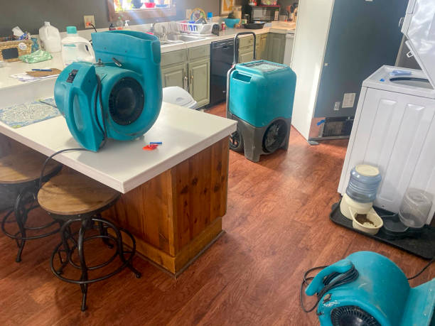 Best Residential water damage restoration  in Austin, MN