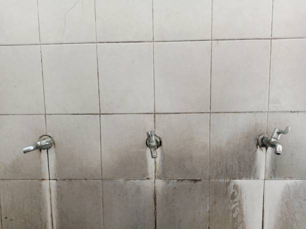 Best Water damage contractors near me  in Austin, MN