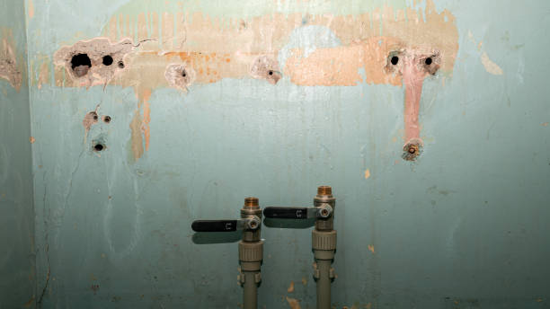 Best Water damage contractors near me  in Austin, MN