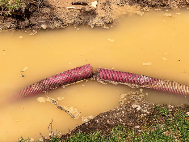 Best Flood damage cleanup  in Austin, MN